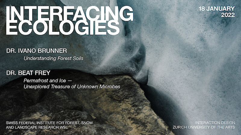 Interfacing Ecologies
